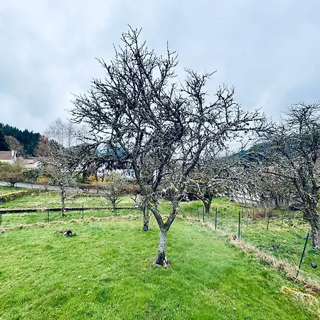 Au D Aline * Gérardmer